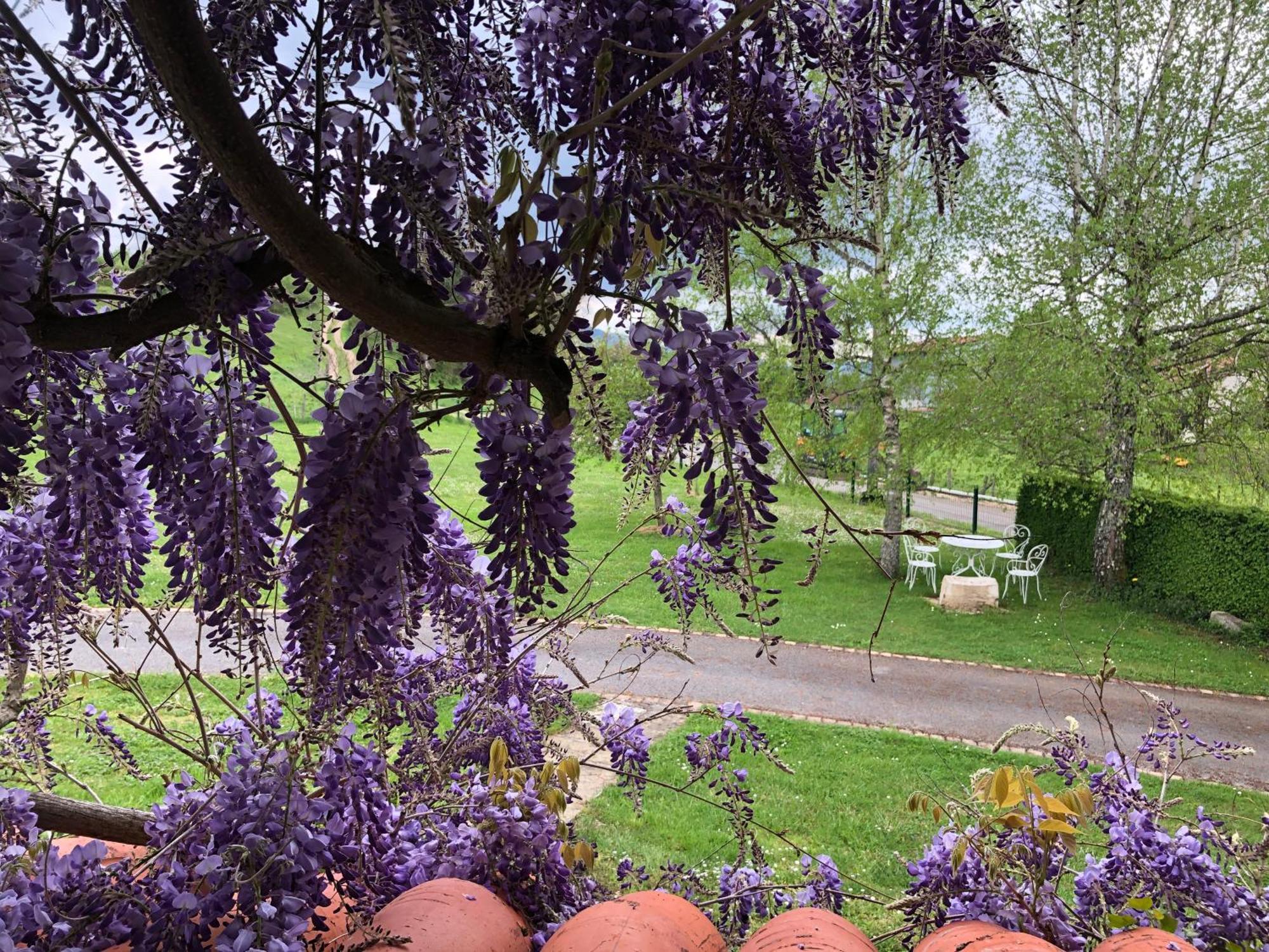 Gite De L'Ancheronne 12 Couchages Spa Lavans-sur-Valouse Luaran gambar